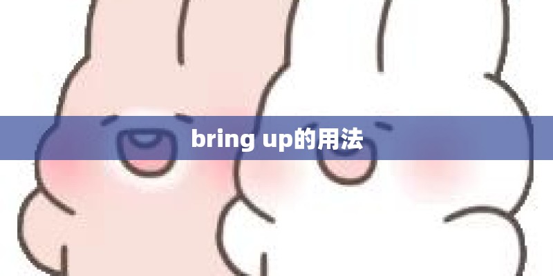bring up的用法