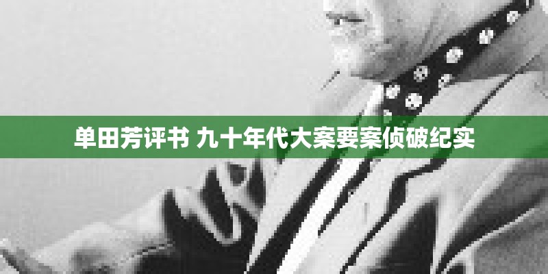 单田芳评书 九十年代大案要案侦破纪实