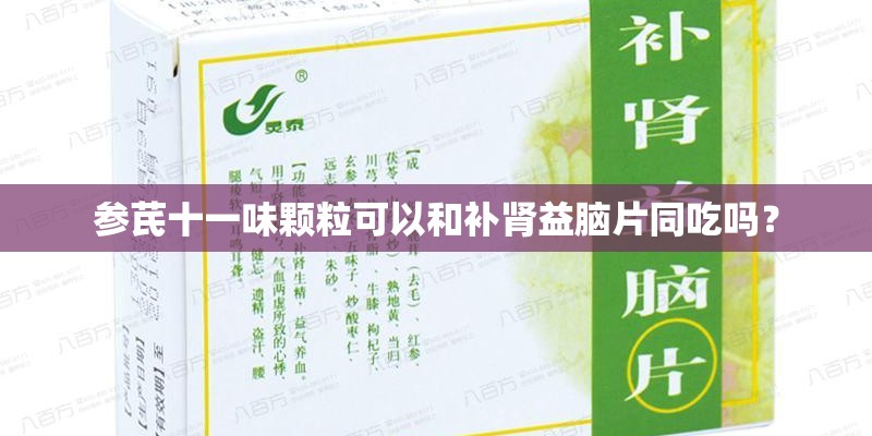 参芪十一味颗粒可以和补肾益脑片同吃吗？