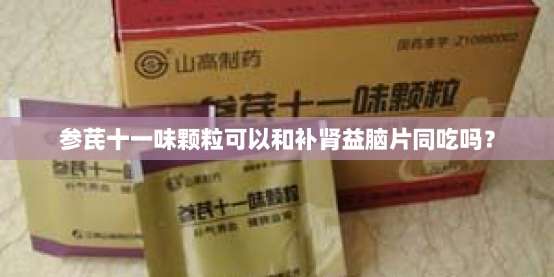 参芪十一味颗粒可以和补肾益脑片同吃吗？