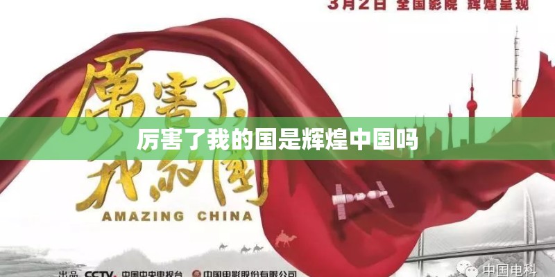 厉害了我的国是辉煌中国吗