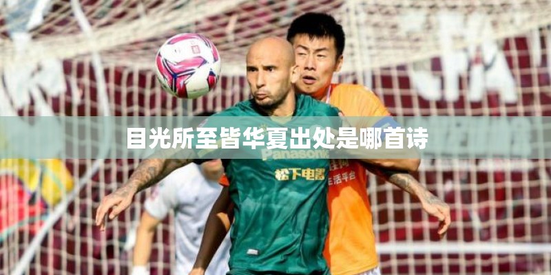目光所至皆华夏出处是哪首诗
