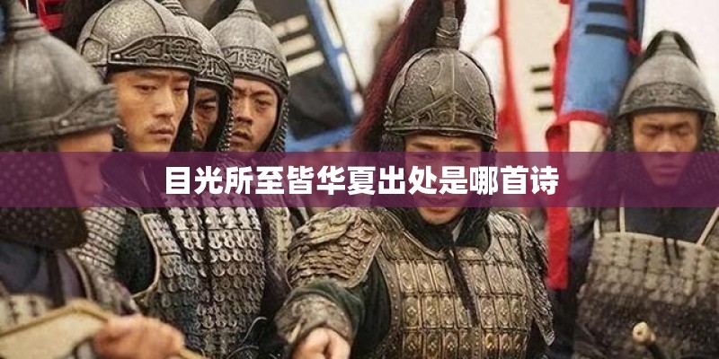 目光所至皆华夏出处是哪首诗