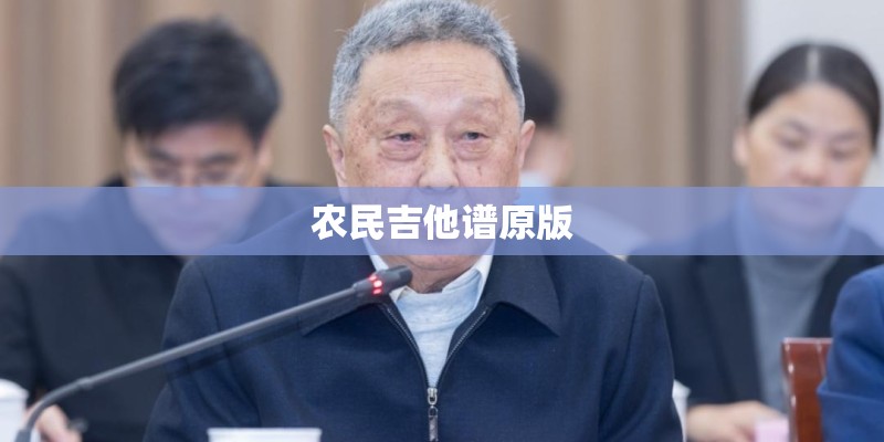 农民吉他谱原版