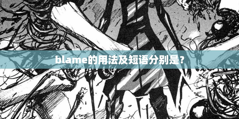 blame的用法及短语分别是？