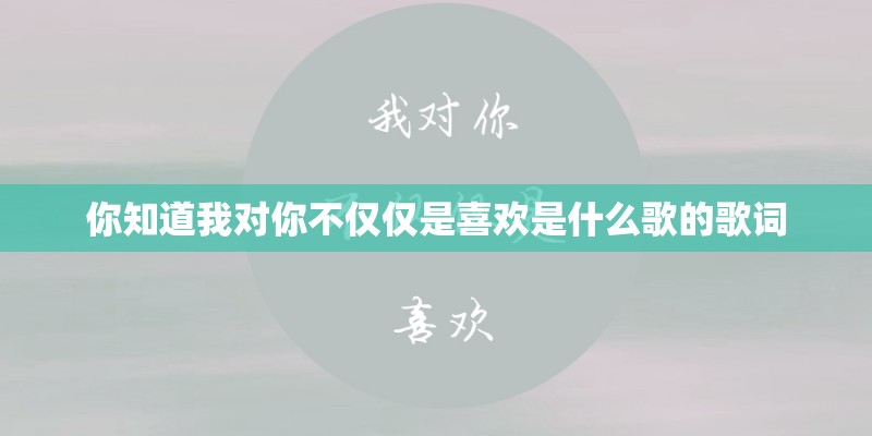 你知道我对你不仅仅是喜欢是什么歌的歌词