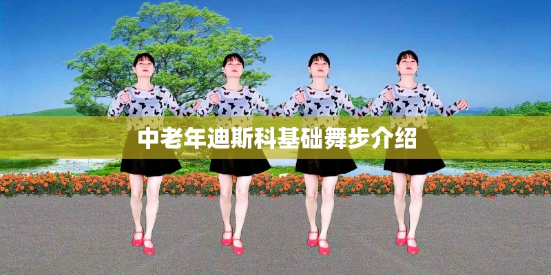 中老年迪斯科基础舞步介绍